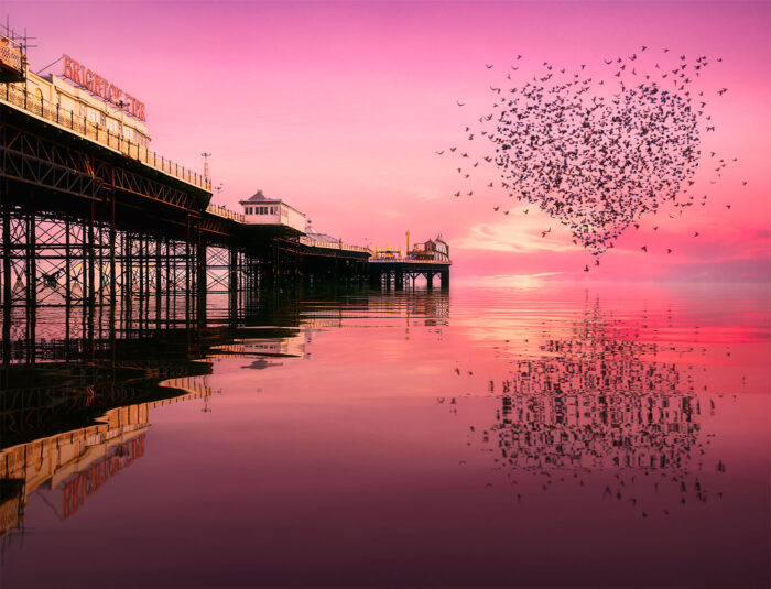 Palace Pier Love Heart Murmurations By Brian Roe