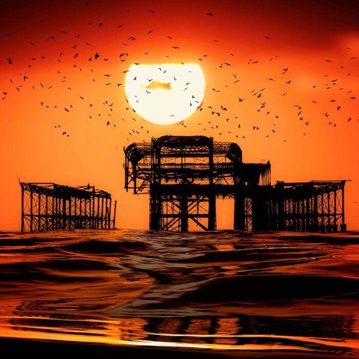 Great Ball of Sun. Sunset & Birds over the West Pier in Brighton by Brian Roe