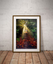 Autumnal in wooden frame by Brian Roe-1