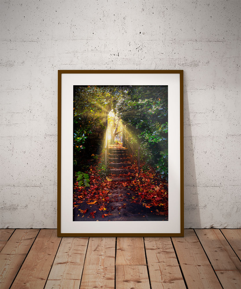 Autumnal in wooden frame by Brian Roe-1