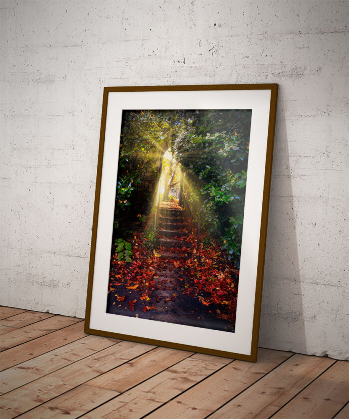 Autumnal in wooden frame by Brian Roe