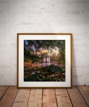 Jephson Gardens-Square_Poster_Frame