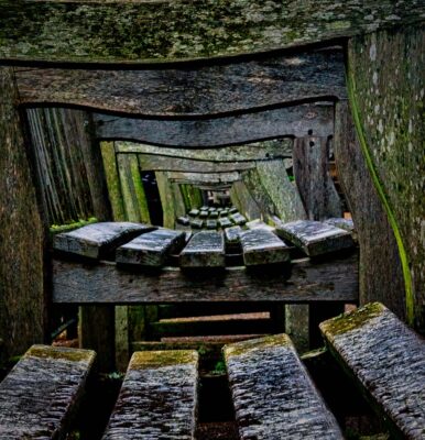 Park Benches - by Brian Roe