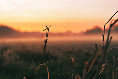 Welches Meadow sunrise in Leamington Spa by Brian Roe