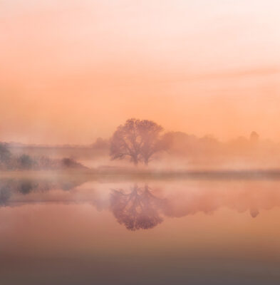 Warwickshire Spring time sunrise By Brian Roe