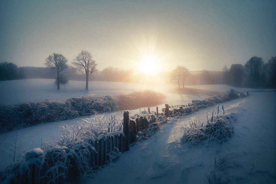 Brian Roe - Contemporary Photographic Artist