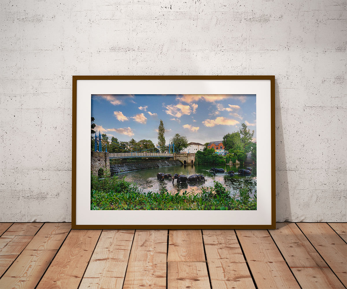 Elephants in the river Leam framed 1 by Brian Roe