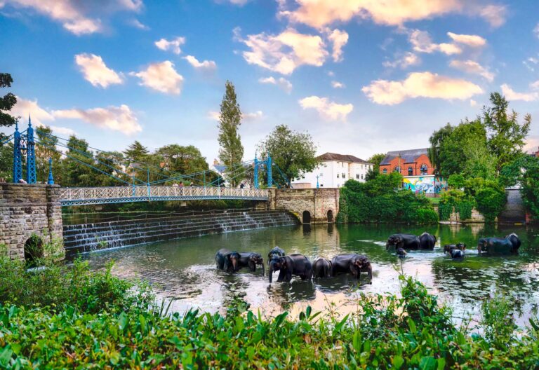 Elephants in the river Leam - print