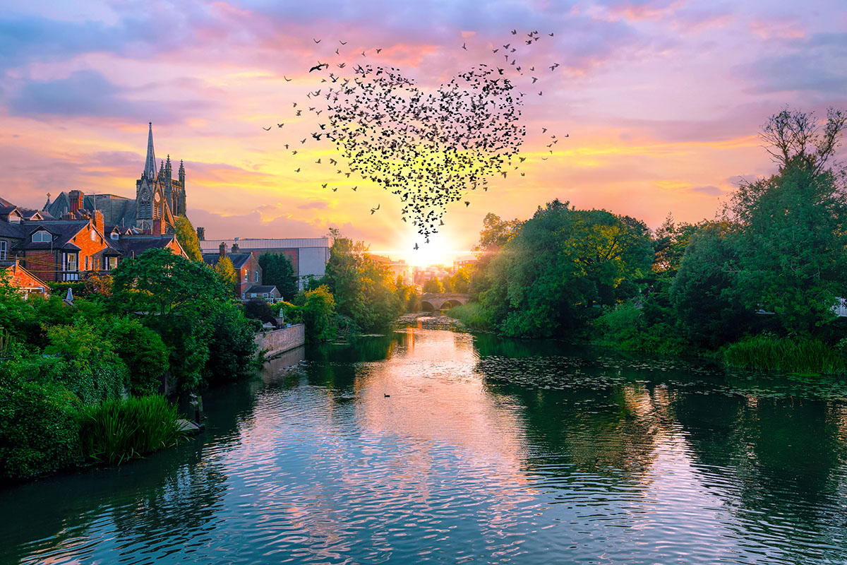 Love in Leamington Spa